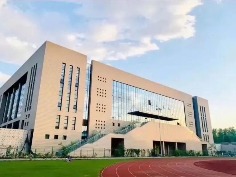 ED11